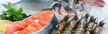 Sri Lankan Seafood Exports