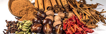 Sri Lankan Spice Exports
